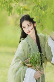 张柏芝殖器12图